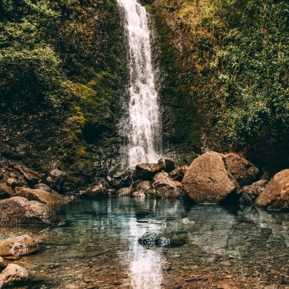 Meet your Posher, Carol - Picture 1 of 1